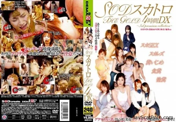 Acme continuous play scatology limit - Nozomi Kimura [DVDRip|3.94 GB]
